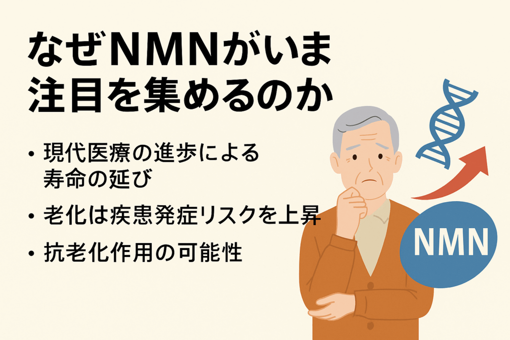 NAD+前駆体のNMNがいまなぜ注目を集めるのか