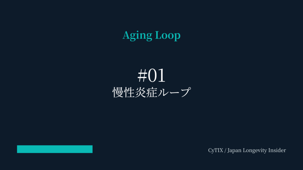 Aging Loop #01
