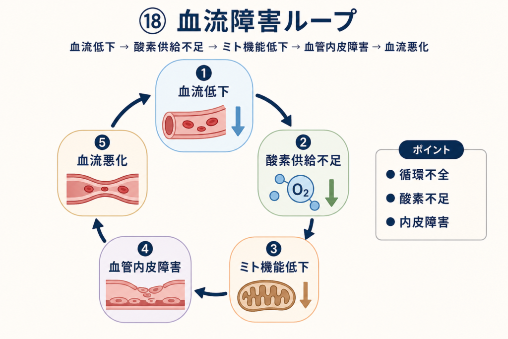 血流障害ループ