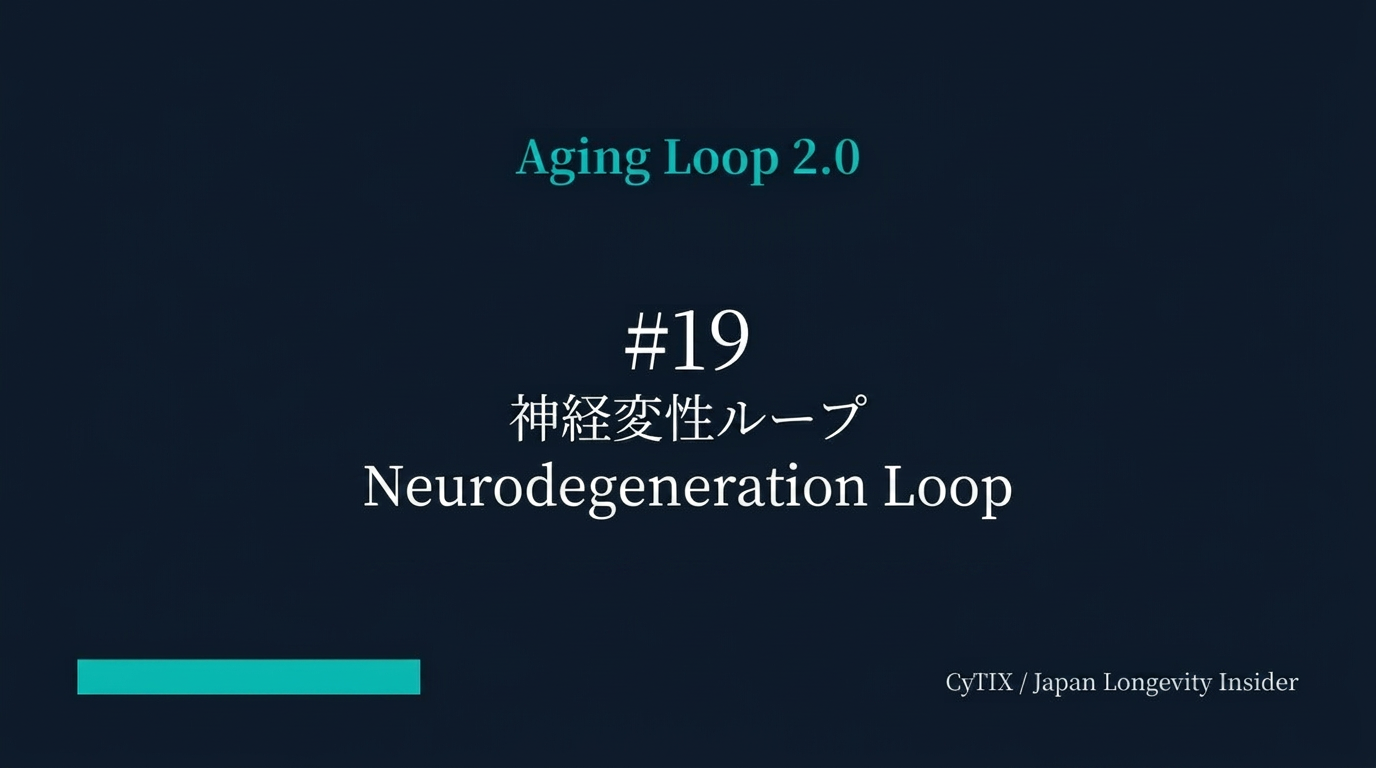 Aging Loop連載CyTIX AcademyAging Loop #19｜神経変性ループ — 脳神経の劣化が認知・運動・自律機能の老化を加速させる