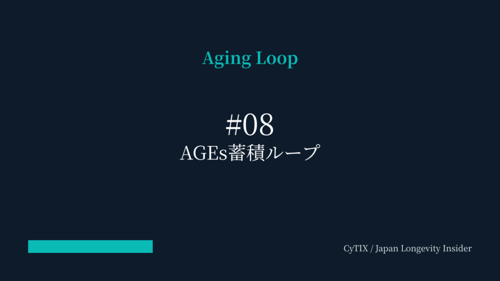 AGEx蓄積ループ