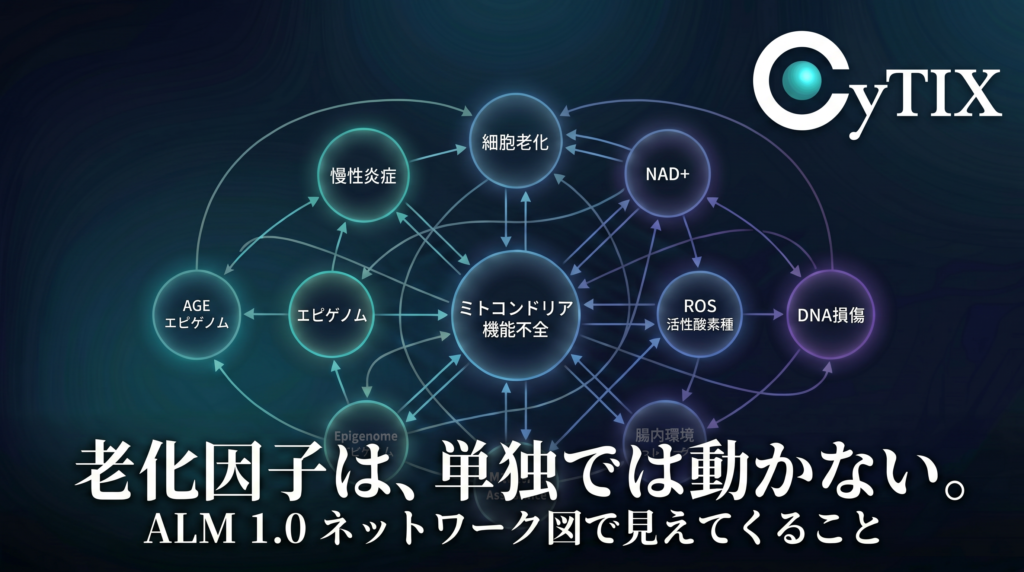 Aging Loop Network