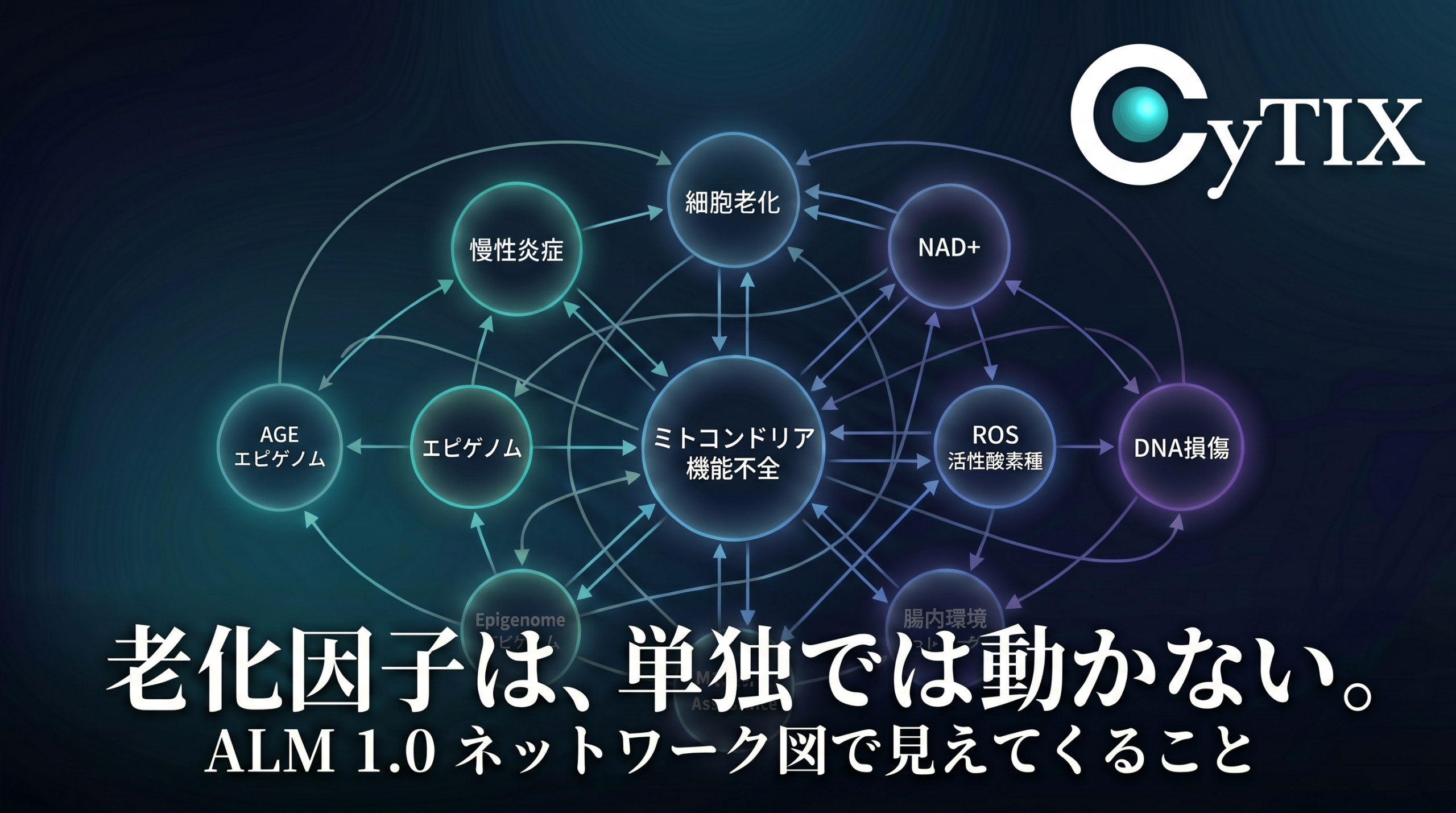 患者説明に使える——Aging Loop Matrix 1.0 ネットワーク図を公開